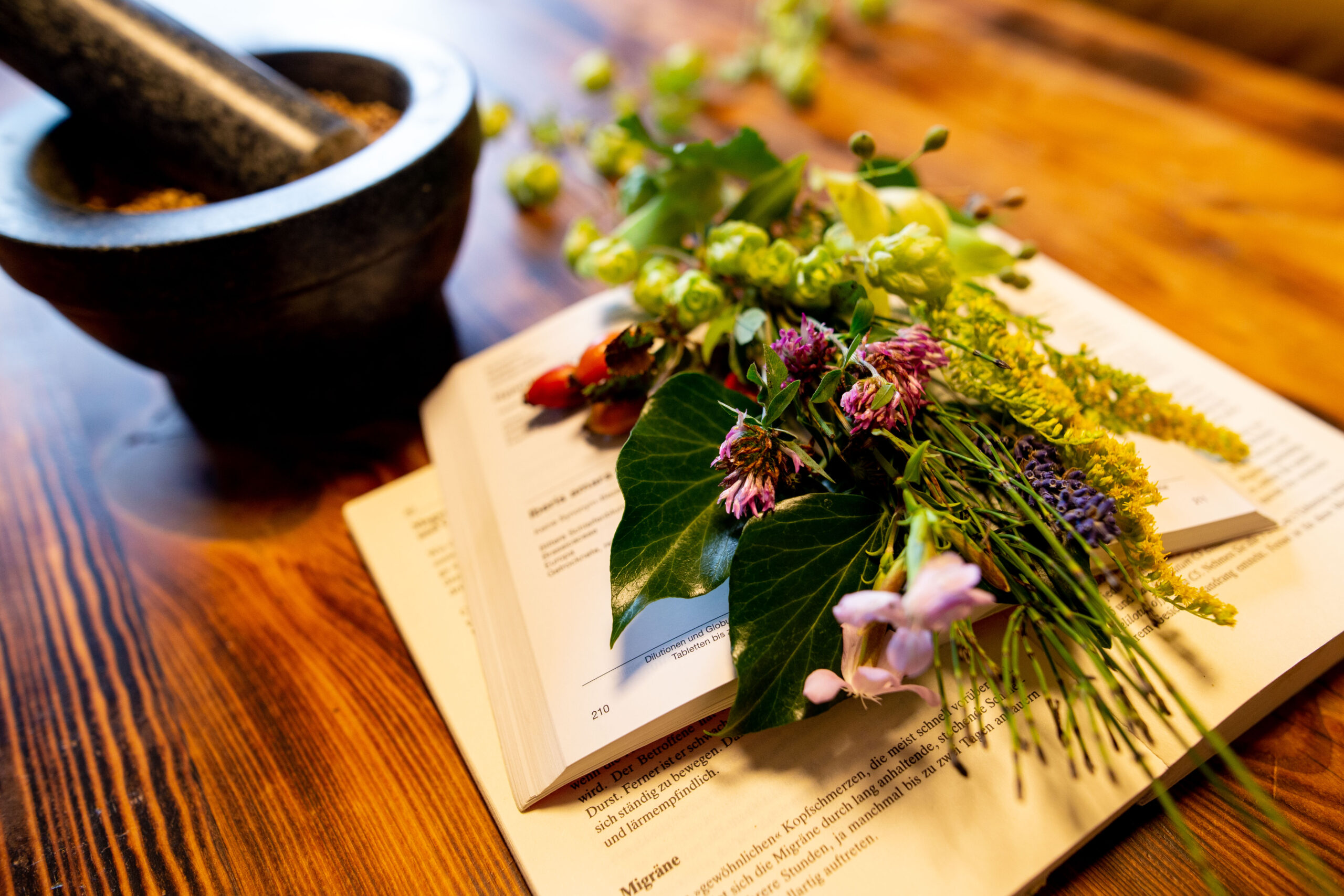 Das Bild zeigt einen Mörser, 2 Apothekenbücher und einen Strauss frischer Heilkräuter.